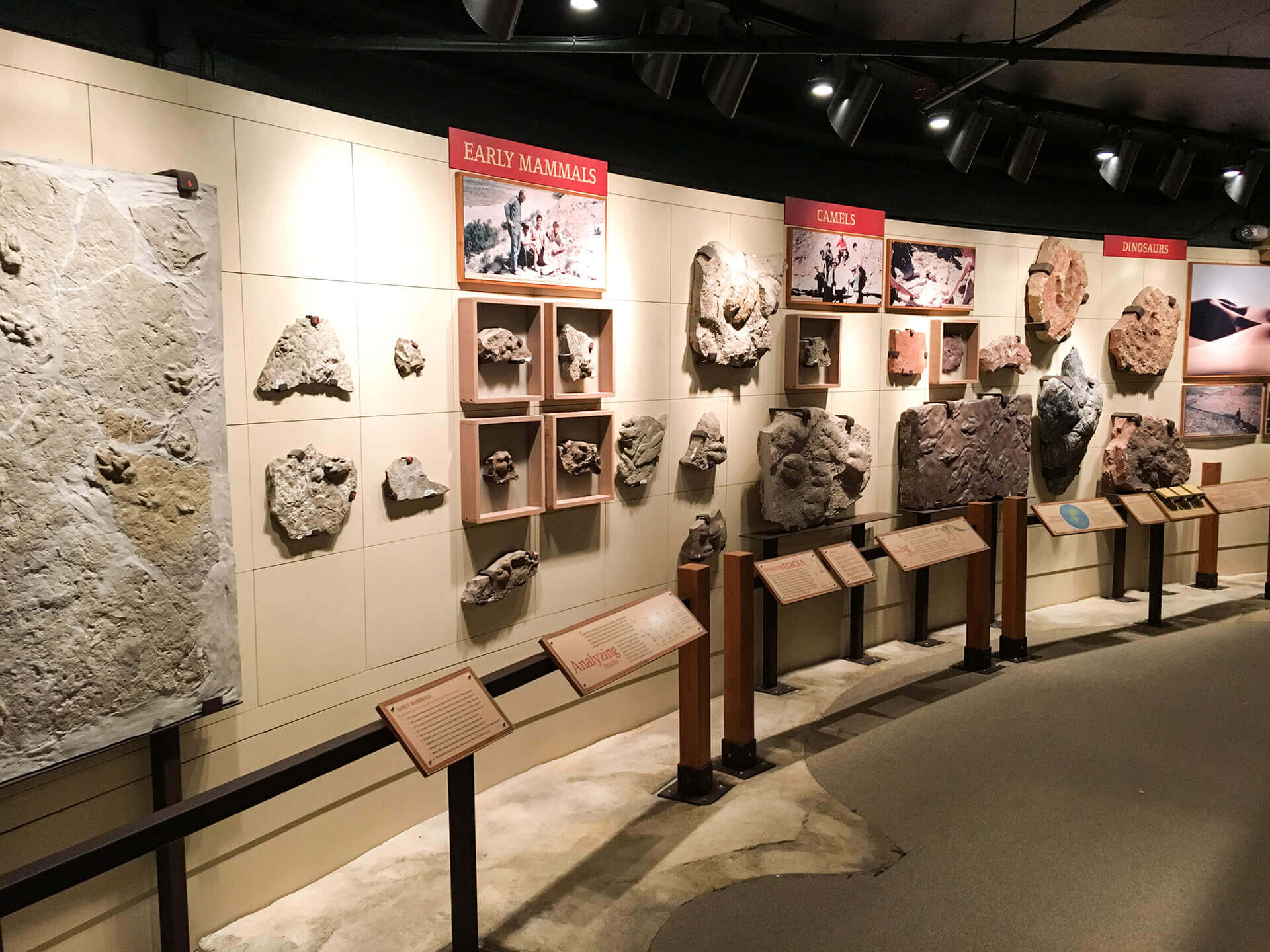 Alf Museum Hall of Footsteps